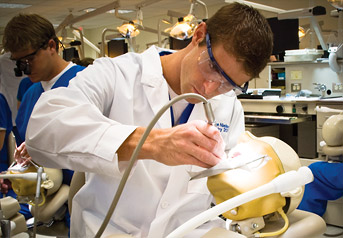 Dental student at work