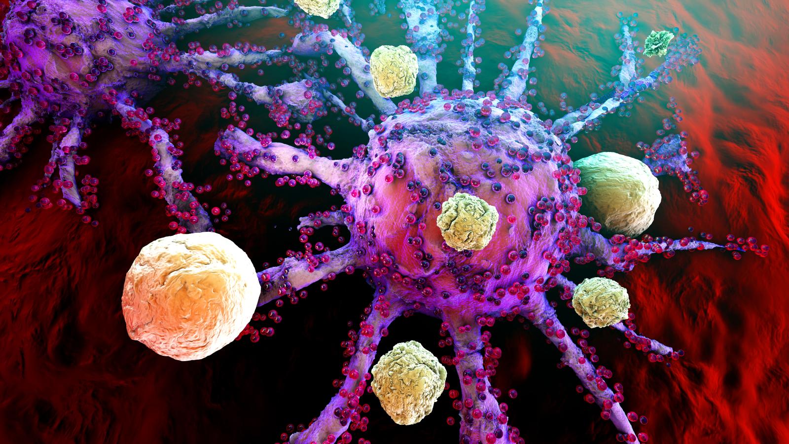 immunotherapy
