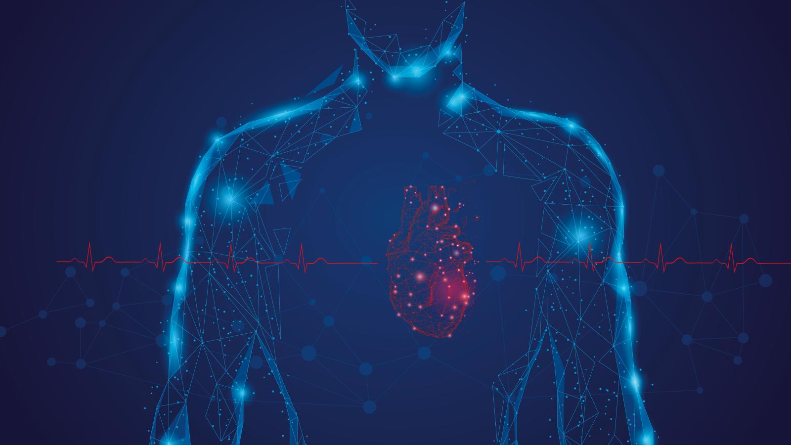 Abstract Body Imaging