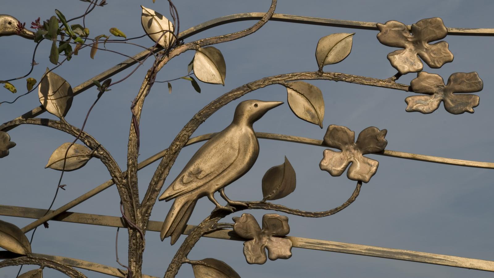 Photo by Tom Kojcsich, VCU 