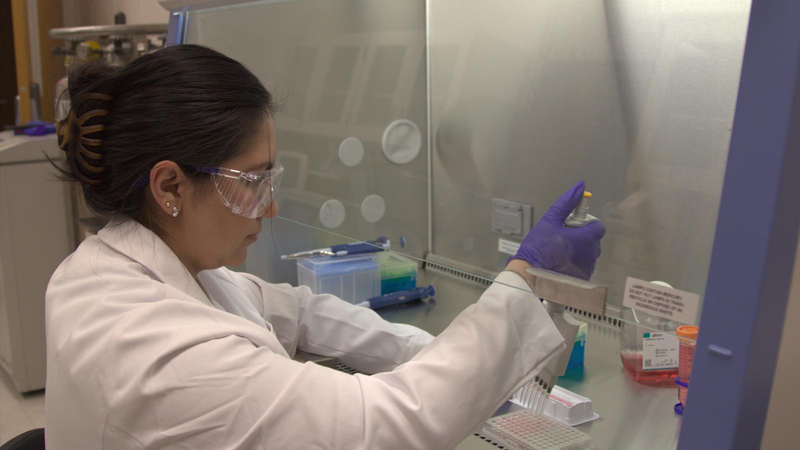 school of pharmacy