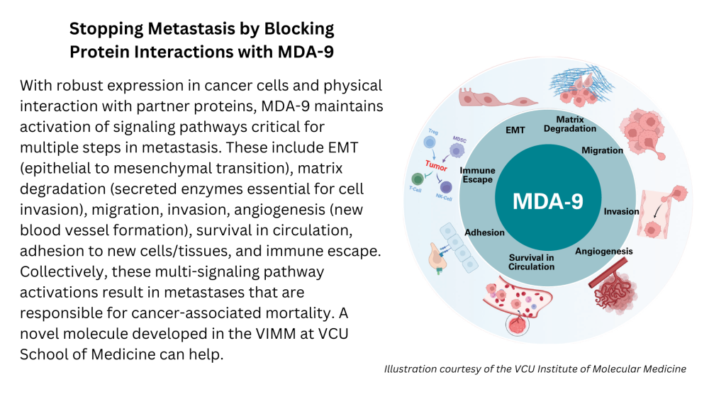 mda 9 illustration