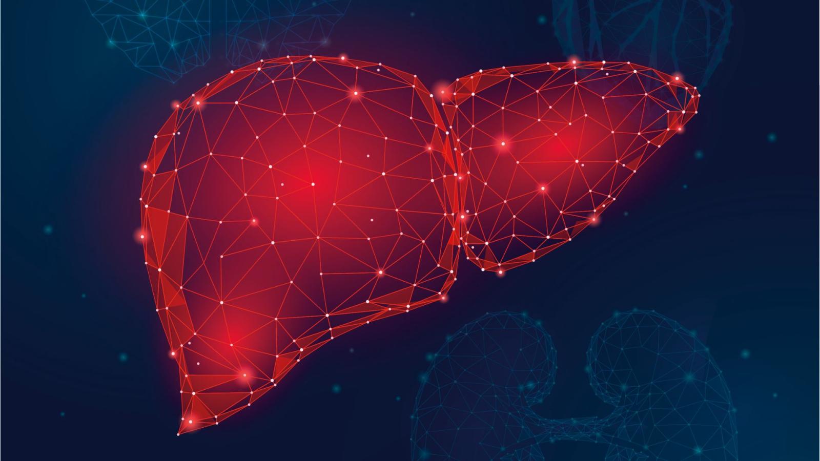 liver
