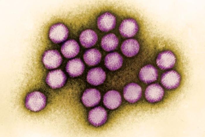 cancer cells illustration