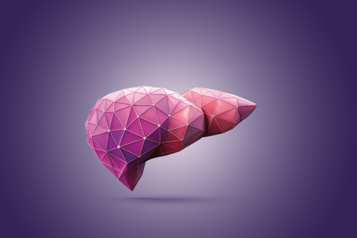 liver update